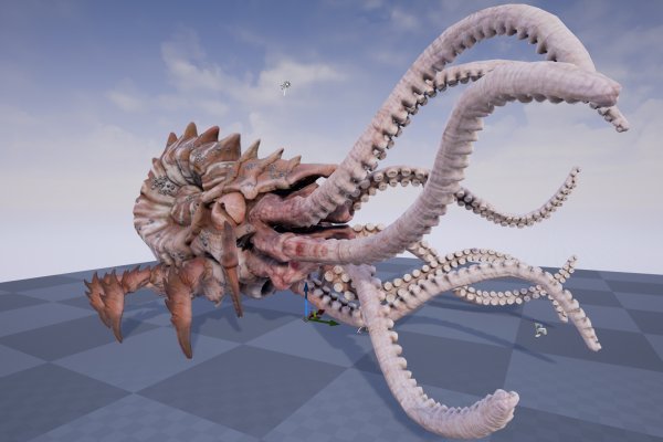 Kraken cc