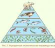 Энергия и свойства пирамиды Контрольные
 вопросы и задании