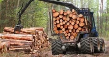 Лесная и деревообрабатывающая промышленность мира